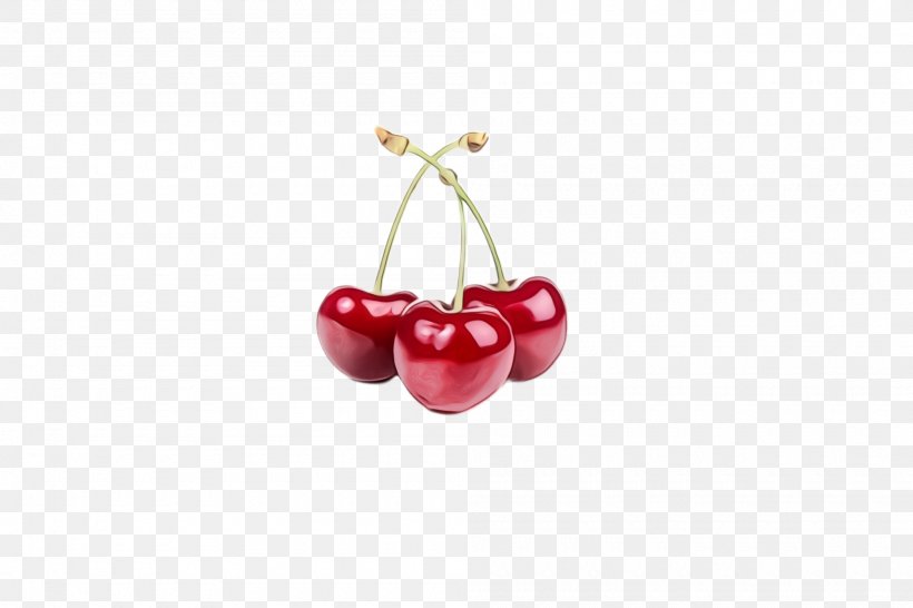 Cherry Red Fruit Pink Plant, PNG, 2000x1332px, Watercolor, Berry, Cherry, Drupe, Fashion Accessory Download Free