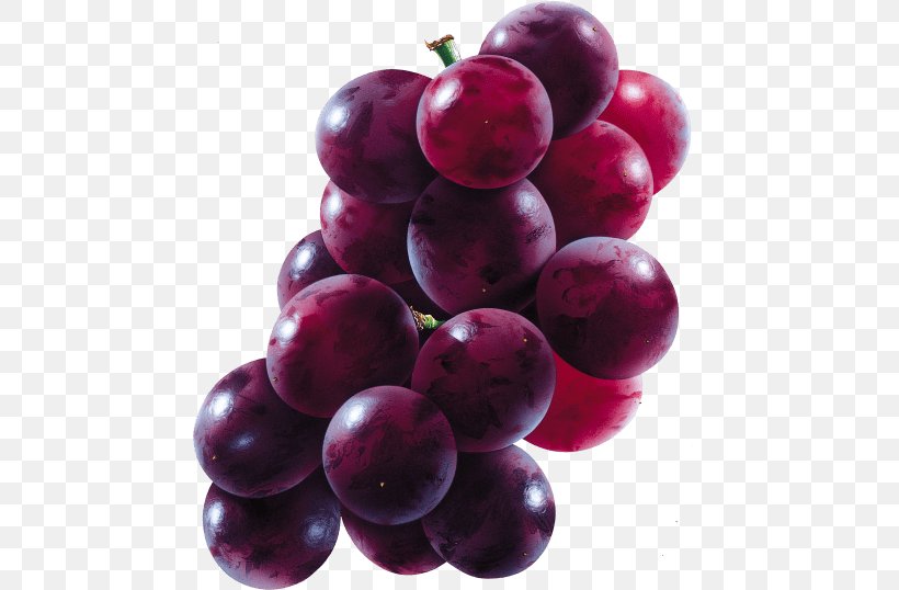 Common Grape Vine Juice Concord Grape Clip Art, PNG, 480x538px, Common Grape Vine, Berry, Concord Grape, Cranberry, Eating Download Free