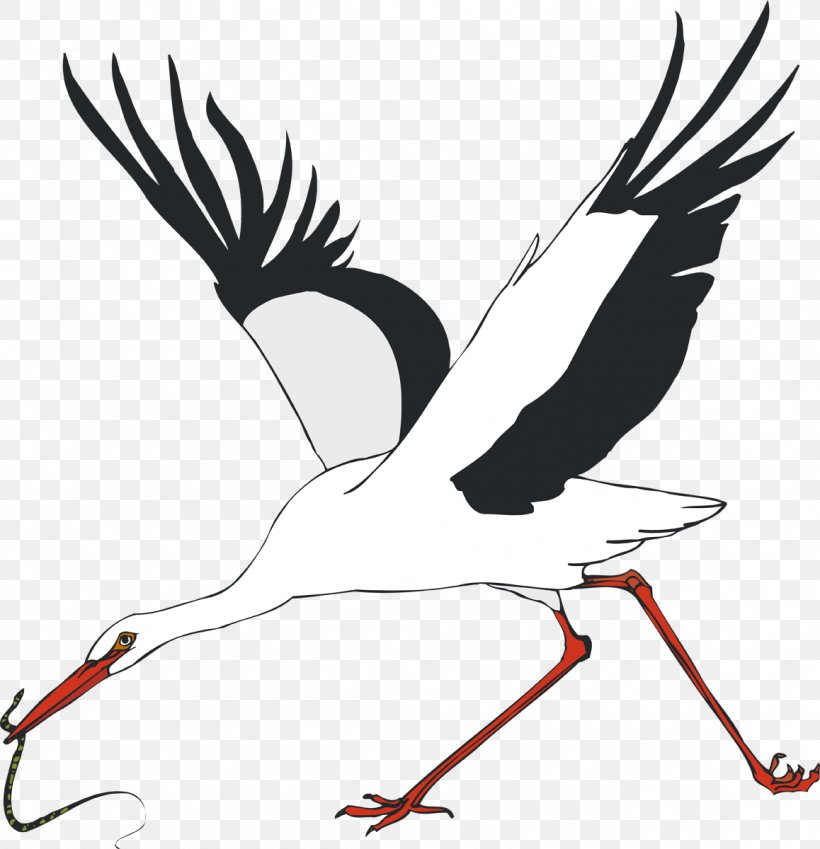 White Stork Water Bird Crane, PNG, 1158x1200px, White Stork, Animal, Art, Beak, Bird Download Free