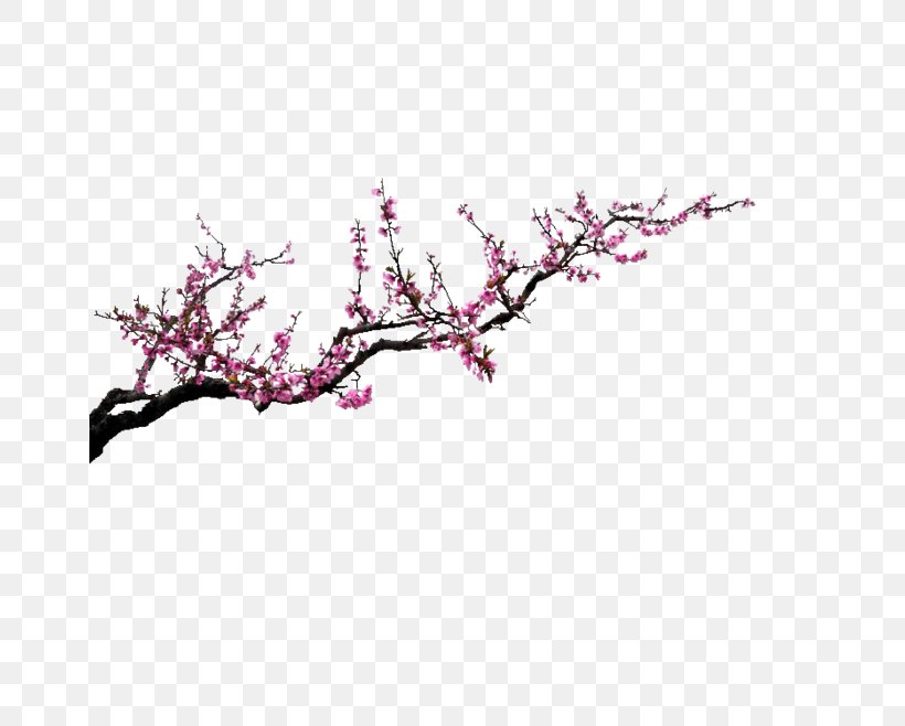 Red Clip Art, PNG, 658x658px, Red, Blossom, Branch, Cherry Blossom, Color Download Free