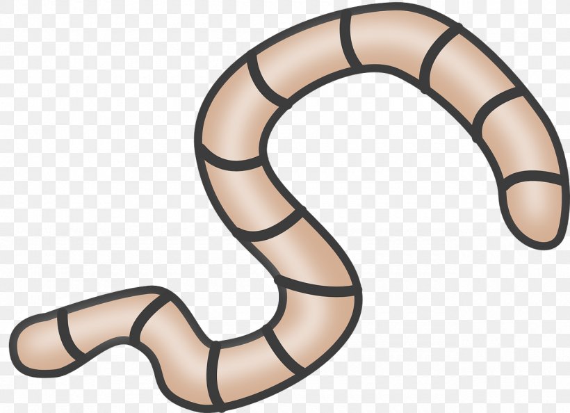 Reptile Douchegordijn Worm Clip Art, PNG, 1280x928px, Reptile, Body Jewellery, Body Jewelry, Curtain, Douchegordijn Download Free