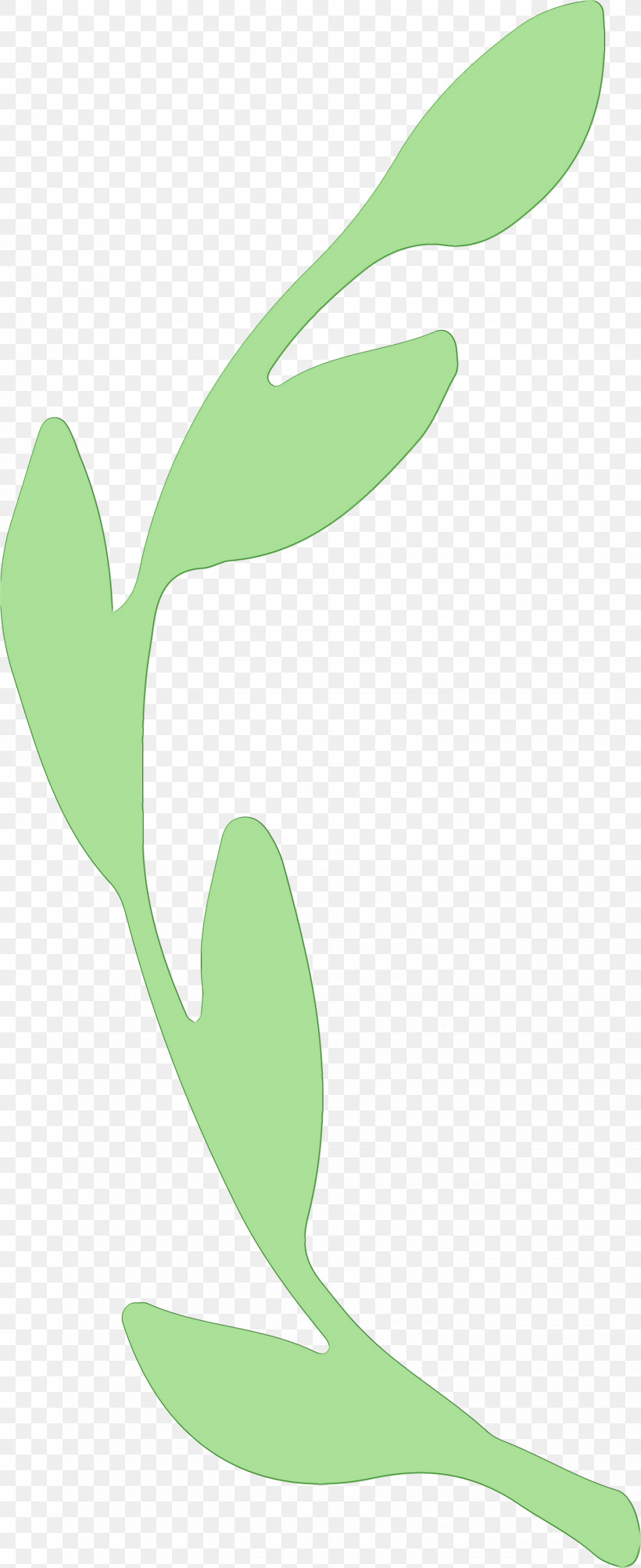 Leaf Plant Stem Green Flower M-tree, PNG, 1531x3745px, Halloween, Flower, Green, Leaf, Line Download Free