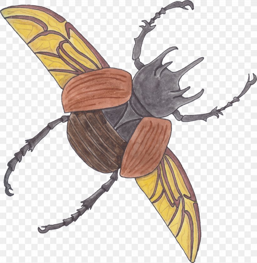 Volkswagen Beetle Cartoon, PNG, 6116x6275px, Volkswagen Beetle, Animation, Arthropod, Bee, Cartoon Download Free
