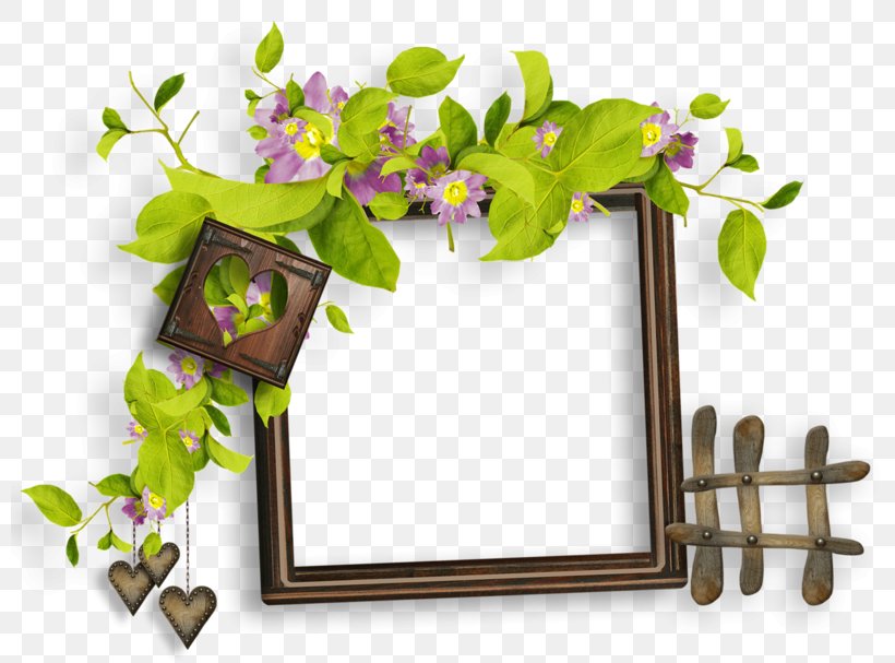 Flower Clip Art, PNG, 800x607px, Flower, Branch, Cut Flowers, Editing, Flora Download Free