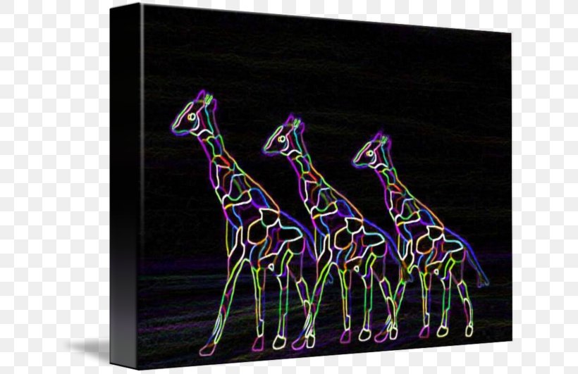 Giraffe, PNG, 650x531px, Giraffe, Giraffidae, Mammal, Organism, Purple Download Free