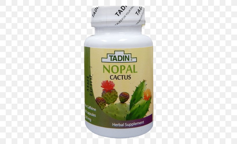 Herbal Tea El Nopal Aloe Vera, PNG, 500x500px, Tea, Aloe Vera, Aloes, Cactus, Capsule Download Free