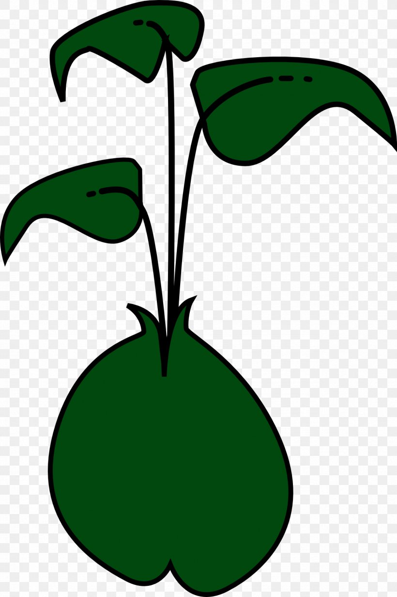 Sprouting Green Bean Clip Art, PNG, 1278x1920px, Sprouting, Artwork, Bean, Black And White, Brussels Sprout Download Free