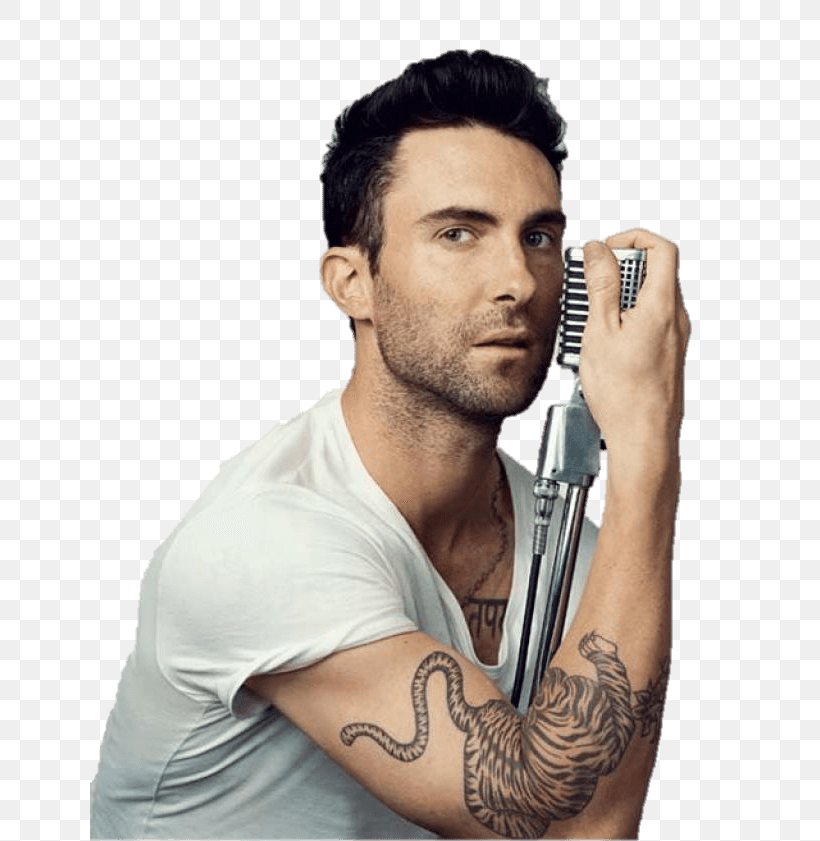 Adam Levine Maroon 5 Musician Singer-songwriter, PNG, 640x841px, Watercolor, Cartoon, Flower, Frame, Heart Download Free