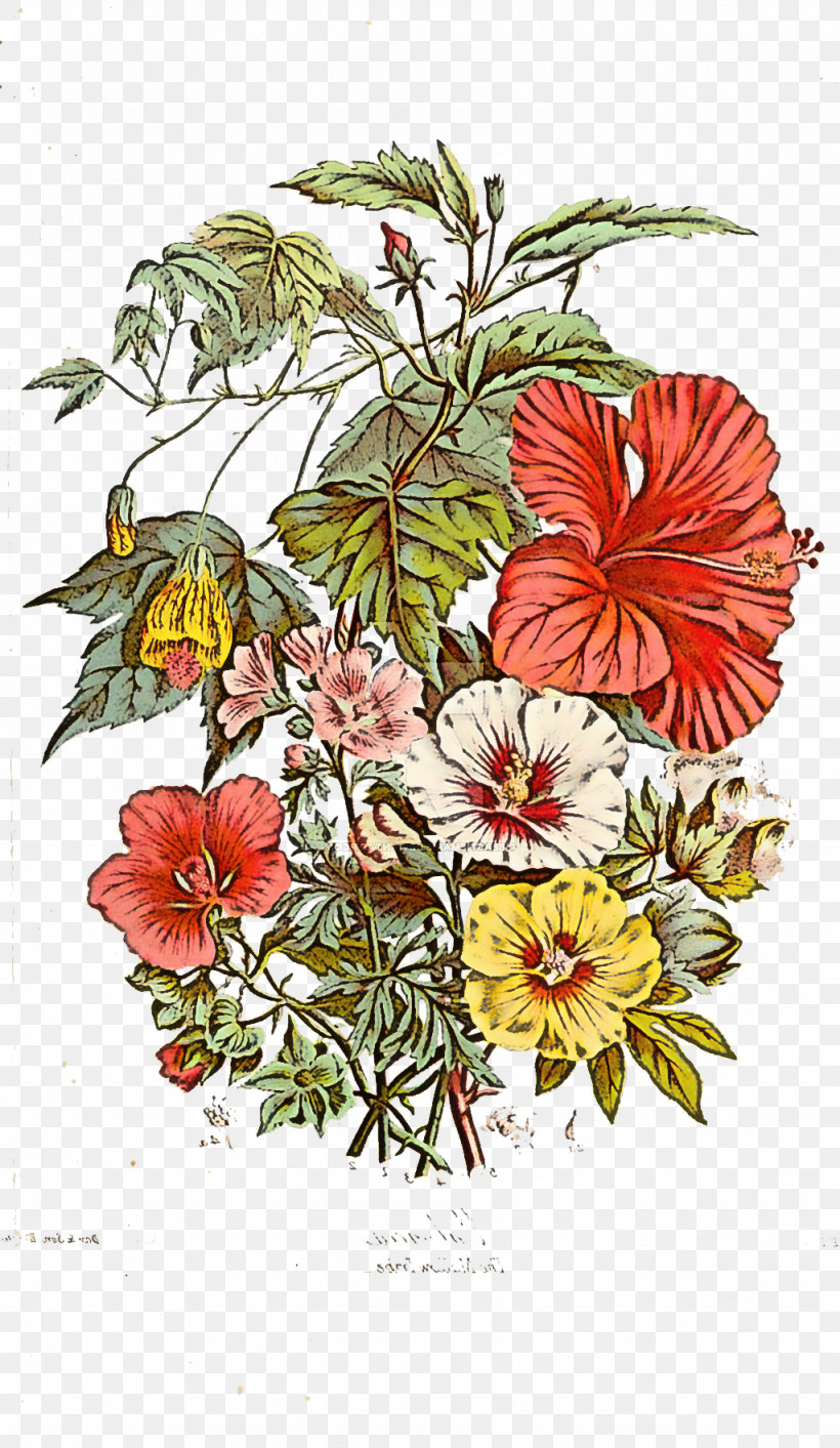 Floral Design, PNG, 1024x1765px, Flower, Anthurium, Begonia, Bouquet, Branch Download Free
