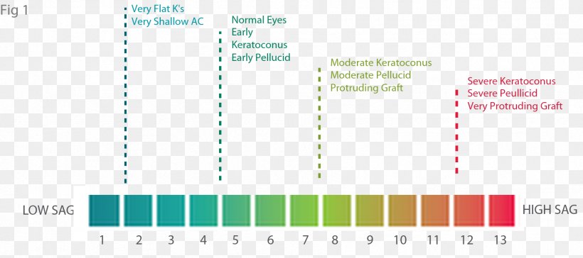 Graphic Design Document Green, PNG, 1818x809px, Watercolor, Cartoon, Flower, Frame, Heart Download Free