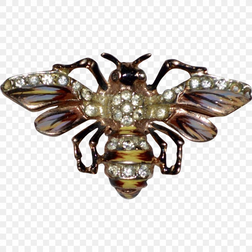 Insect Brooch, PNG, 1564x1564px, Insect, Brass, Brooch, Invertebrate, Jewellery Download Free