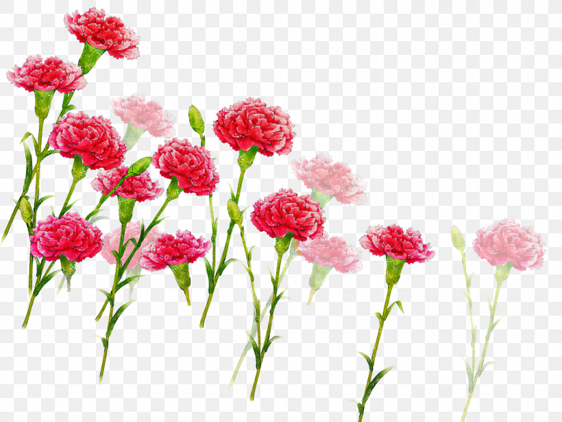 Artificial Flower, PNG, 1524x1143px, Flower, Artificial Flower, Carnation, Cockscomb, Cut Flowers Download Free
