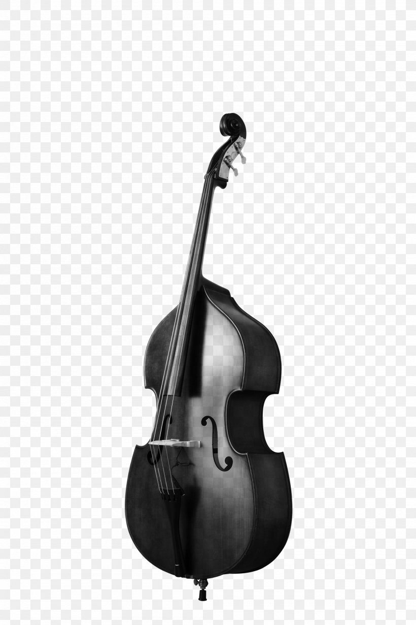 Bass Violin Double Bass Viola Tololoche Bass Guitar, PNG, 2000x3001px, Watercolor, Cartoon, Flower, Frame, Heart Download Free