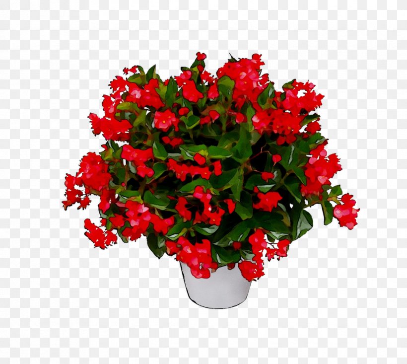 Begonia Flowerpot Floral Design Artificial Flower, PNG, 1218x1089px, Begonia, Annual Plant, Artificial Flower, Bougainvillea, Bouquet Download Free