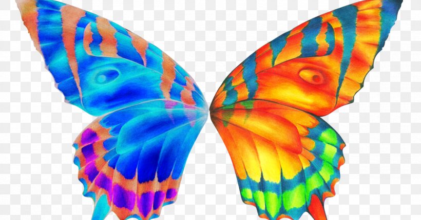 Butterfly Clip Art, PNG, 1200x630px, Butterfly, Butterflies And Moths, Document, Insect, Invertebrate Download Free