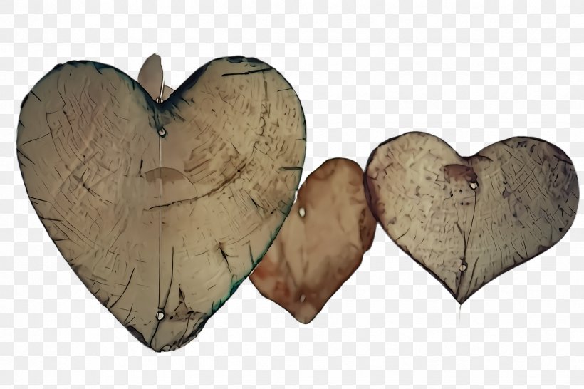 Heart Leaf Heart Wood Tree, PNG, 2448x1632px, Heart, Leaf, Love, Petal, Plant Download Free