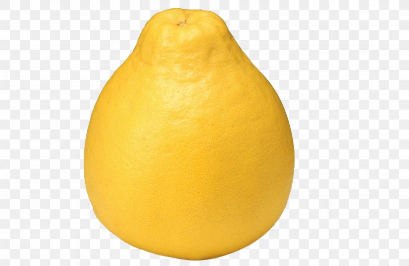 Lemon Citron Tangelo Grapefruit Citrus Junos, PNG, 3584x2334px, Lemon, Acid, Citric Acid, Citron, Citrus Download Free