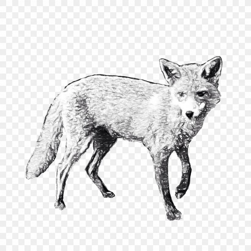 Red Fox Paper Post Cards Zazzle, PNG, 1600x1600px, Red Fox, Art, Black And White, Carnivoran, Christmas Card Download Free
