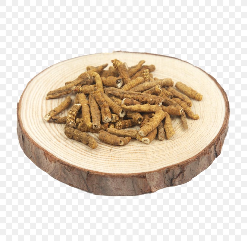 Caterpillar Fungus Traditional Chinese Medicine Traditional Medicine, PNG, 800x800px, Caterpillar Fungus, Cordyceps, Crude Drug, Essential Oil, Gratis Download Free