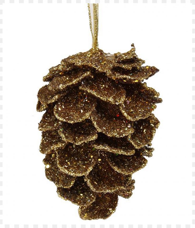 Conifer Cone Picea Mariana Ornament Fir Bead, PNG, 2000x2333px, Conifer Cone, Bead, Beadwork, Christmas Ornament, Cone Download Free
