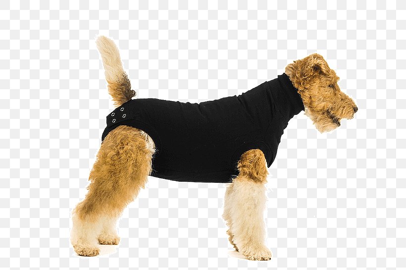 Dog Booties Amazon.com Surgery Suit, PNG, 816x545px, Dog, Airedale Terrier, Amazoncom, Bodysuit, Carnivoran Download Free
