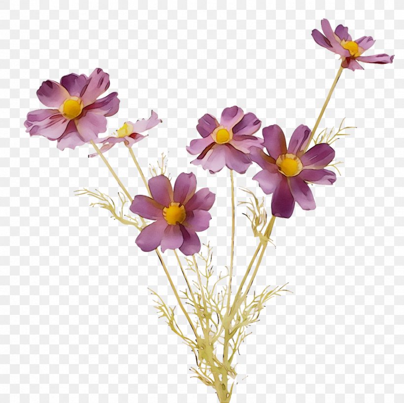 Garden Cosmos Standard Paper Size Scrapbooking Cut Flowers, PNG, 1228x1227px, Garden Cosmos, Artificial Flower, Cosmos, Cut Flowers, Daisy Family Download Free