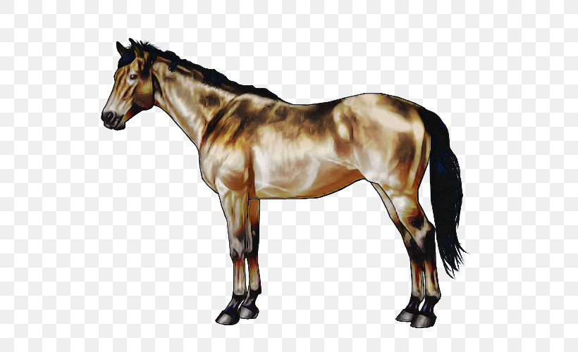 Horse Animal Figure Sorrel Mare Stallion, PNG, 600x500px, Horse, Animal Figure, Liver, Mane, Mare Download Free