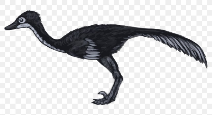 Saurornithoides Velociraptor Dinosaur Bird Goose, PNG, 1024x555px, Velociraptor, Animal, Beak, Bird, Com Download Free
