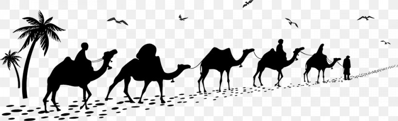 Bactrian Camel Caravan Camel Train, PNG, 983x300px, Bactrian Camel, Black, Black And White, Camel, Camel Like Mammal Download Free