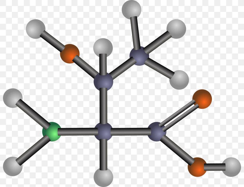 Branched-chain Amino Acid Isoleucine Glutamic Acid, PNG, 800x629px, Amino Acid, Acid, Alanine, Amine, Body Jewelry Download Free