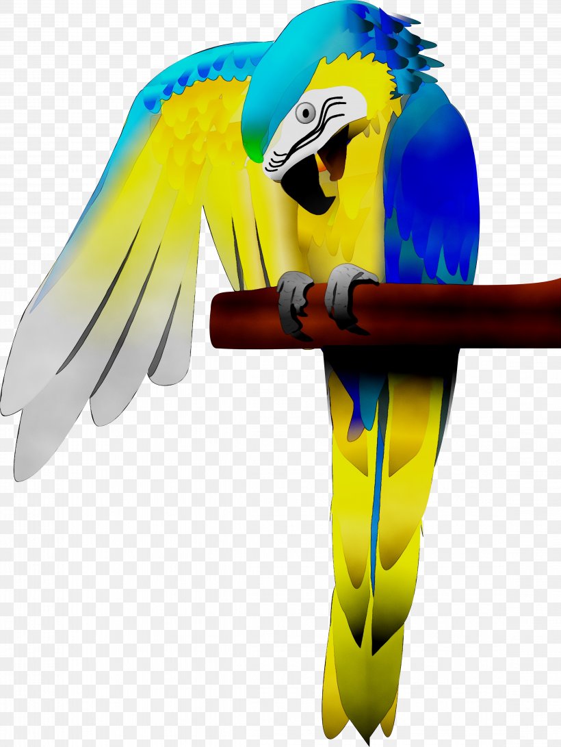 Macaw Parakeet Feather Beak Yellow, PNG, 4539x6042px, Macaw, Beak, Bird, Bird Supply, Bird Toy Download Free