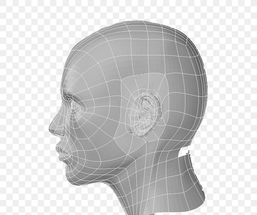 Product Design Forehead Jaw, PNG, 530x688px, Forehead, Bone, Face, Head, Jaw Download Free