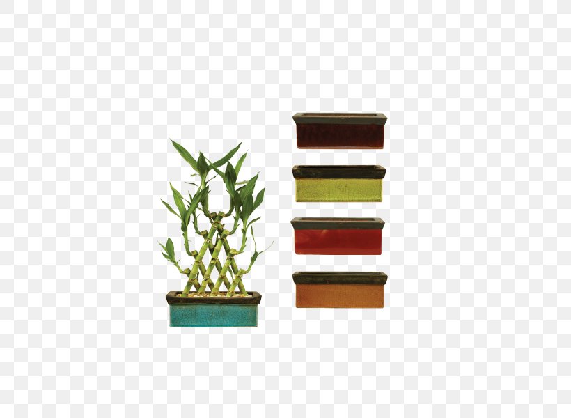 Lucky Bamboo Houseplant Flowerpot, PNG, 600x600px, Lucky Bamboo, Bamboo, Ceramic, Company, Flowerpot Download Free