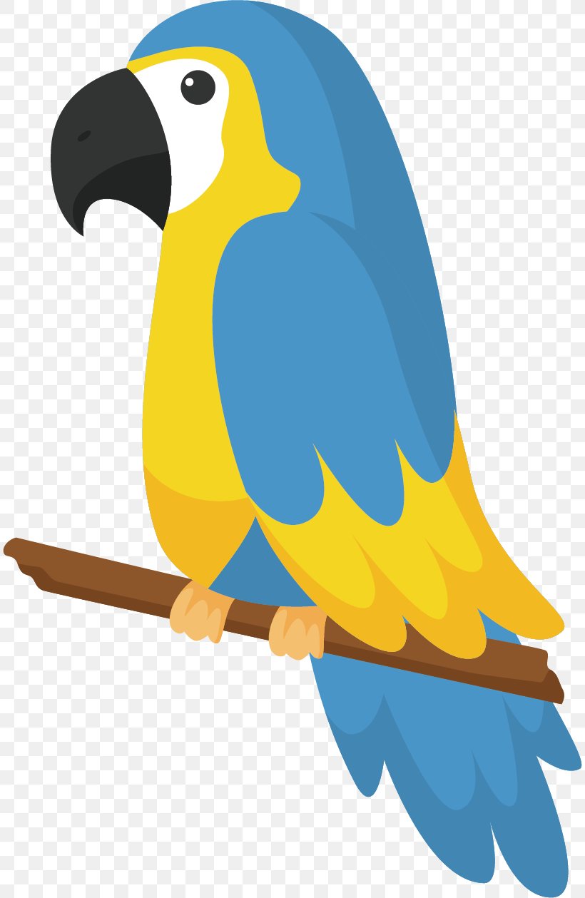 Parrot Bird Drawing, PNG, 812x1259px, Parrot, Beak, Bird, Blueandyellow Macaw, Color Download Free