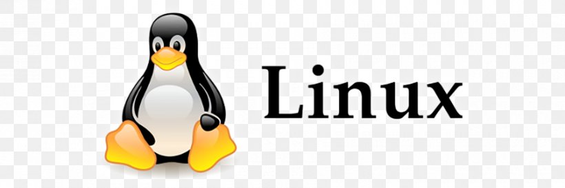 Technology Linux Computer Servers Brand Product Design, PNG, 900x300px, Technology, Beak, Bird, Brand, Cloud Computing Download Free