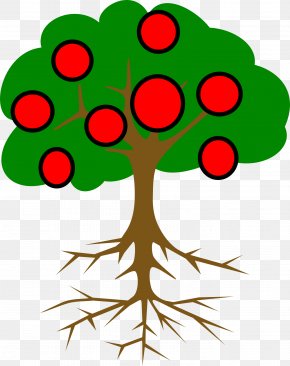 Tree Root, Vriksasana, Yoga, Tadasana, Ashtanga Yoga Tree Pesaro, Posture,  B K S Iyengar, Branch transparent background PNG clipart