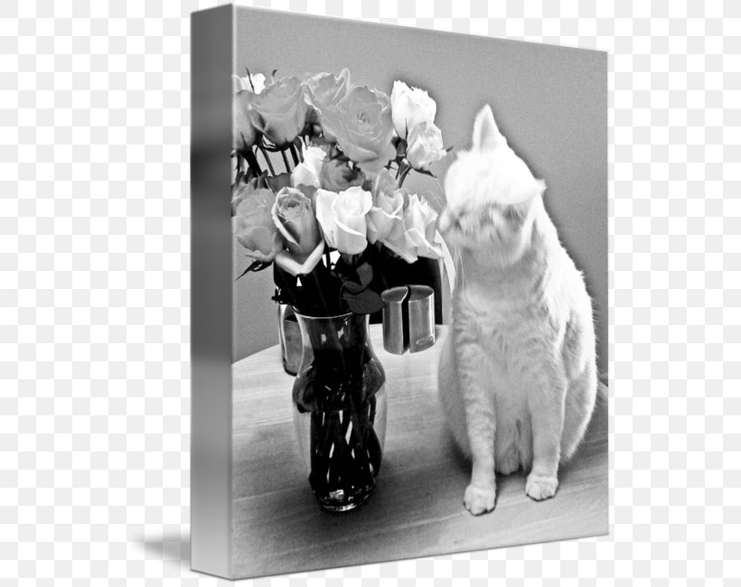 Whiskers Dog Breed Cat Picture Frames, PNG, 540x650px, Whiskers, Black And White, Breed, Carnivoran, Cat Download Free