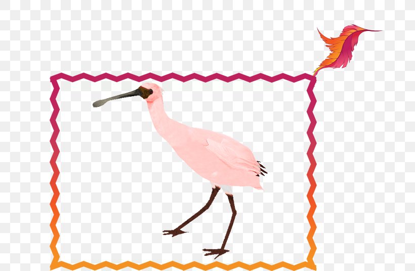 Beak Bird Crane Neck Clip Art, PNG, 704x535px, Beak, Bird, Crane, Crane Like Bird, Feather Download Free