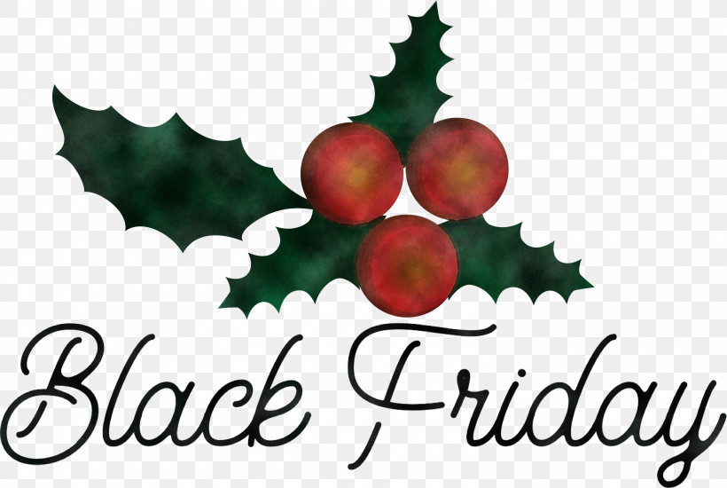 Black Friday Shopping, PNG, 3000x2013px, Black Friday, Aquifoliaceae, Aquifoliales, Christmas Day, Christmas Ornament Download Free