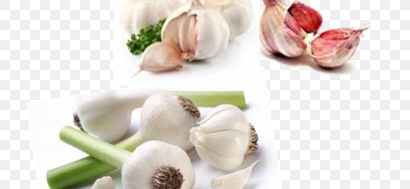 Garlic Broccoli Vegetarian Cuisine Organic Food Vegetable, PNG, 719x378px, Garlic, Artichoke, Broccoli, Diet Food, Flavor Download Free