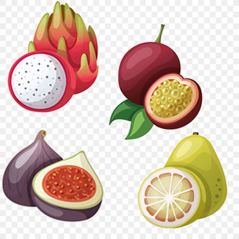 Tropical Fruit Illustration, PNG, 2362x2362px, Fruit, Cartoon, Diet Food,  Food, Melon Download Free