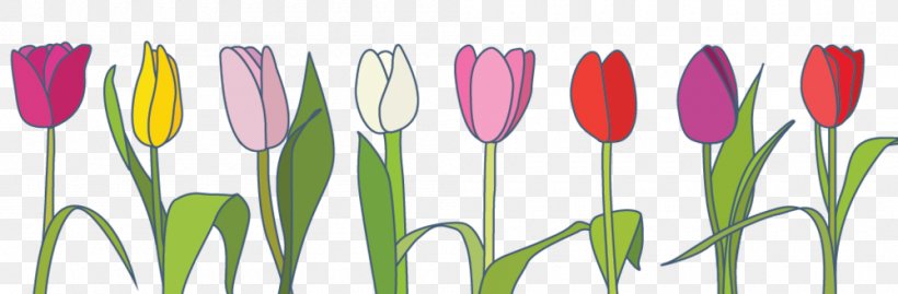 Tulip Clip Art Spring Bulb, PNG, 1000x329px, Tulip, Beauty, Blog, Botany, Bud Download Free