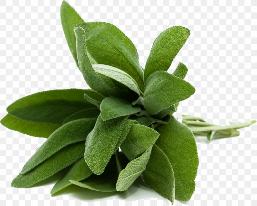 Common Sage Herb Mediterranean Cuisine Food Cooking, PNG, 2829x2275px, Common Sage, Cooking, Flavor, Food, Health Download Free