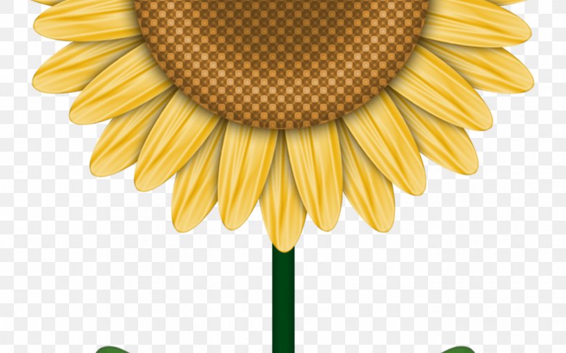 Common Sunflower Drawing Clip Art Image Design, PNG, 1368x855px, Common Sunflower, Art, Asterales, Chamomile, Cut Flowers Download Free