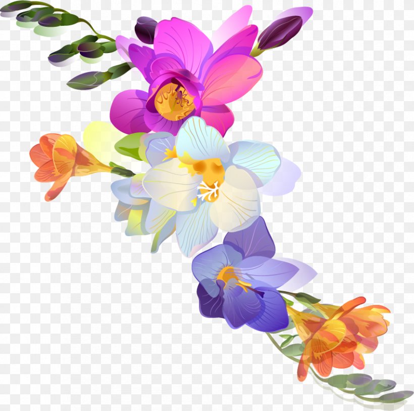 Freesia Flower Photography, PNG, 851x844px, Freesia, Cattleya, Cut Flowers, Dendrobium, Drawing Download Free