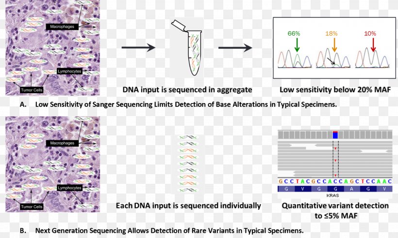 Massive Parallel Sequencing DNA Sequencing Cancer Genome Sequencing Sanger Sequencing, PNG, 1591x956px, Massive Parallel Sequencing, Area, Breast Cancer, Cancer, Cancer Genome Sequencing Download Free