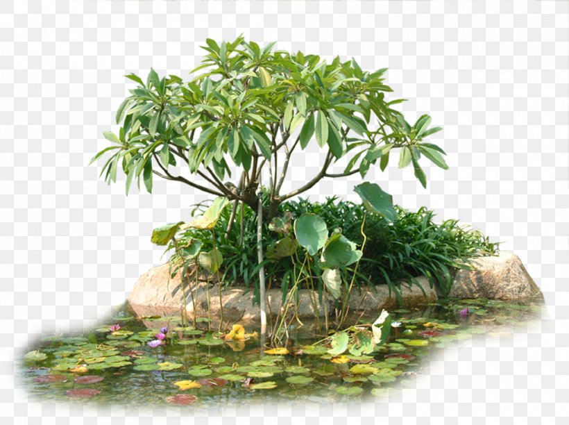 Tree Flowerpot Houseplant, PNG, 1000x747px, Garden, Drawing, Flowerpot, Grass, Gratis Download Free