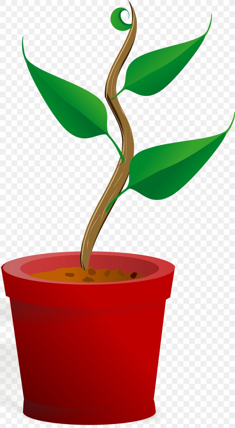 What Plants Need Plant Life-form Root Clip Art, PNG, 1007x1835px, Plant, Bud, Flower, Flowerpot, Habit Download Free