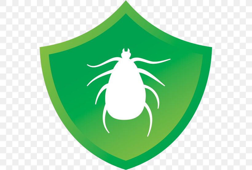 Dog Leaf Tick Mange Mite, PNG, 563x555px, Dog, Acting, Business Day, Flea, Freight Transport Download Free