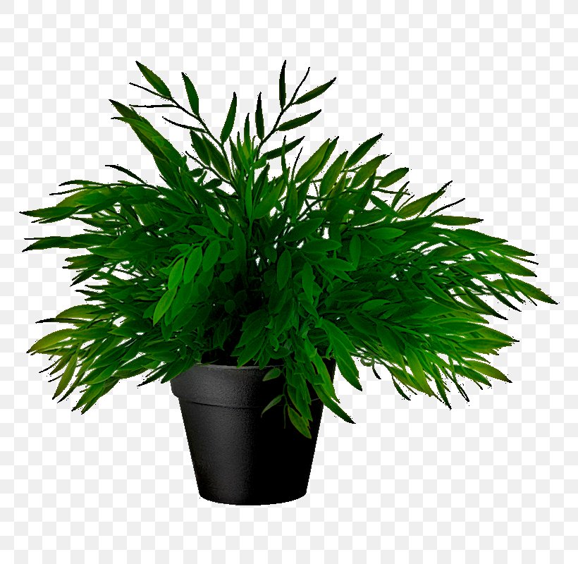 Flowerpot Houseplant IKEA Fiddle-leaf Fig, PNG, 800x800px, Flowerpot, Arecales, Artificial Flower, Bamboo, Bonsai Download Free